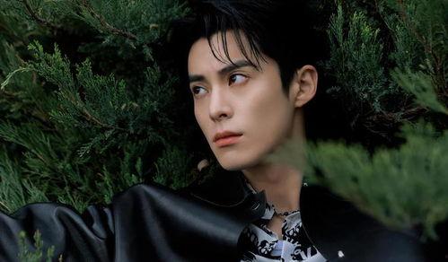 王鹤棣大瓜最新爆料视频,娱乐圈惊人内幕曝光 第1张 王鹤棣大瓜最新爆料视频,娱乐圈惊人内幕曝光 第1张